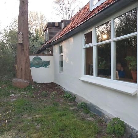 Vogelvrij Villa Vierhuizen Luaran gambar