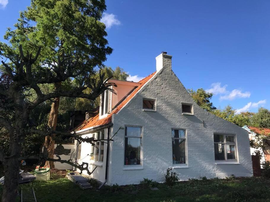Vogelvrij Villa Vierhuizen Luaran gambar