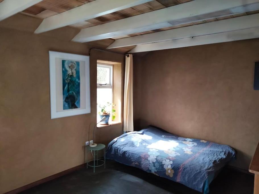 Vogelvrij Villa Vierhuizen Luaran gambar