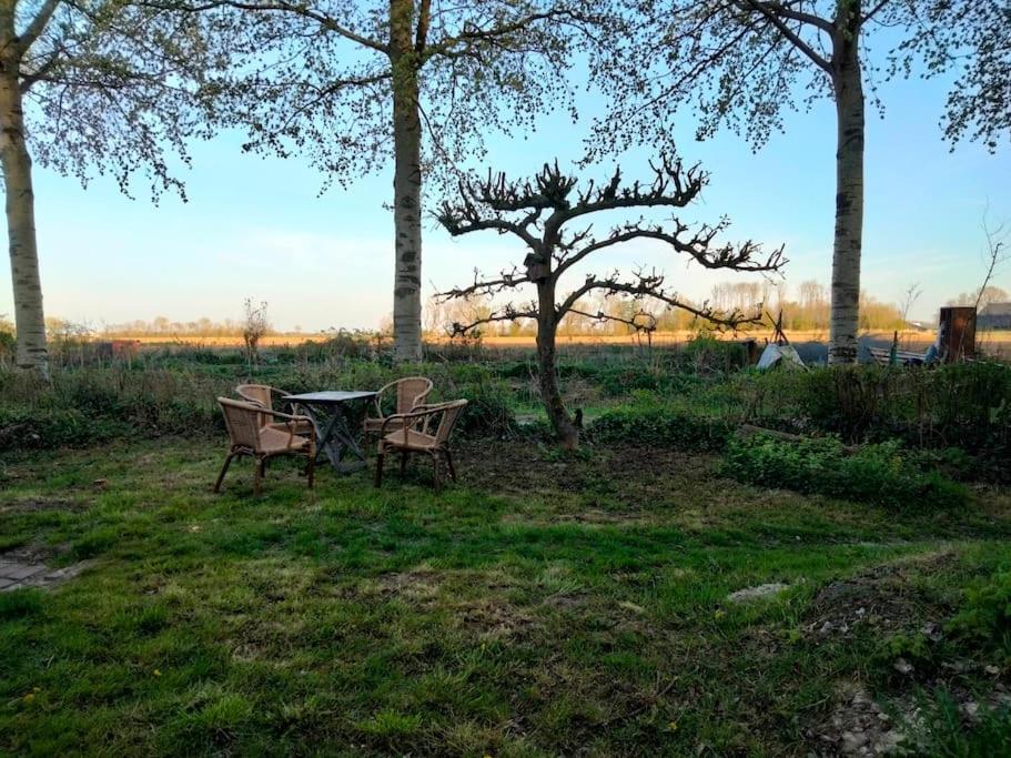 Vogelvrij Villa Vierhuizen Luaran gambar