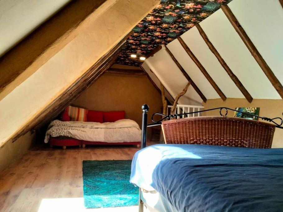 Vogelvrij Villa Vierhuizen Luaran gambar