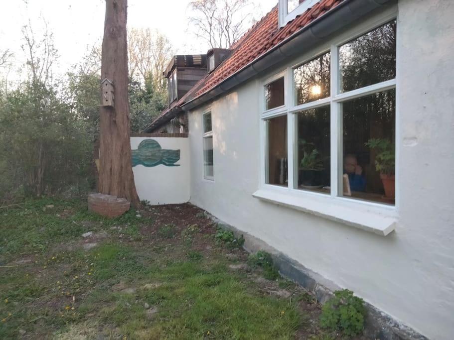 Vogelvrij Villa Vierhuizen Luaran gambar